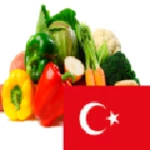 Logo of Learn Vegetables in Turkish android Application 